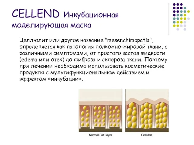 CELLEND Инкубационная моделирующая маска Целлюлит или другое название "mesenchimopatia", определяется как патология