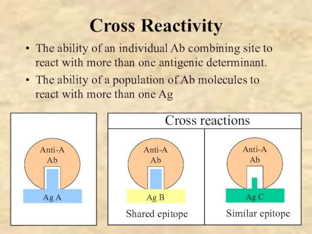 Cross Reactivity The ability of an individual Ab combining site to react