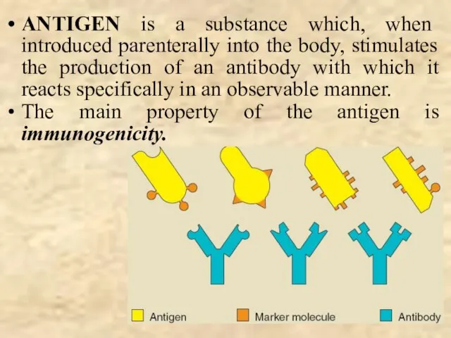 ANTIGEN is a substance which, when introduced parenterally into the body, stimulates