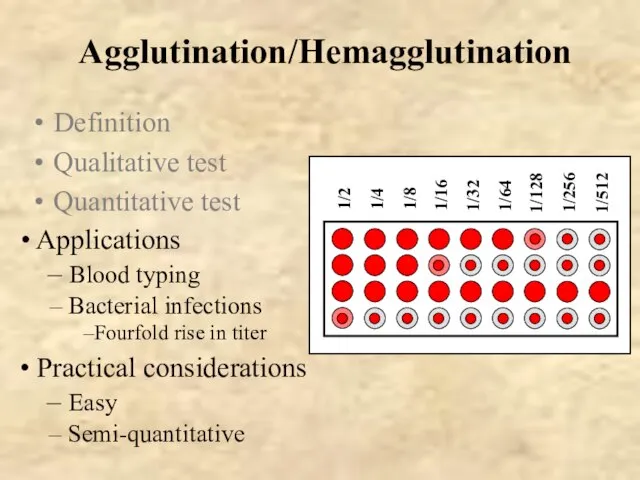 Agglutination/Hemagglutination Definition Qualitative test Quantitative test Applications Blood typing Bacterial infections Fourfold