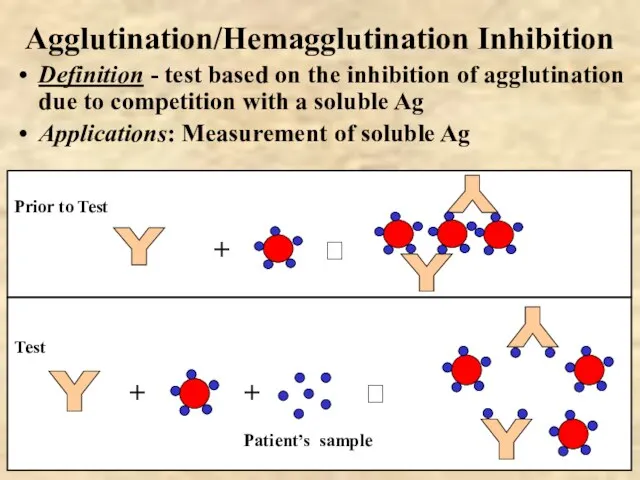 Agglutination/Hemagglutination Inhibition Definition - test based on the inhibition of agglutination due
