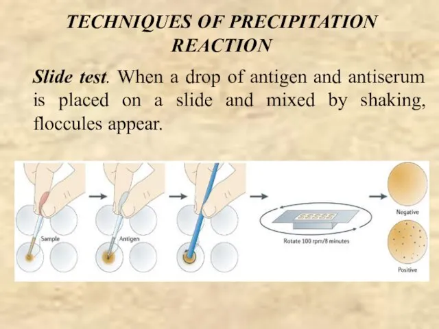 TECHNIQUES OF PRECIPITATION REACTION Slide test. When a drop of antigen and