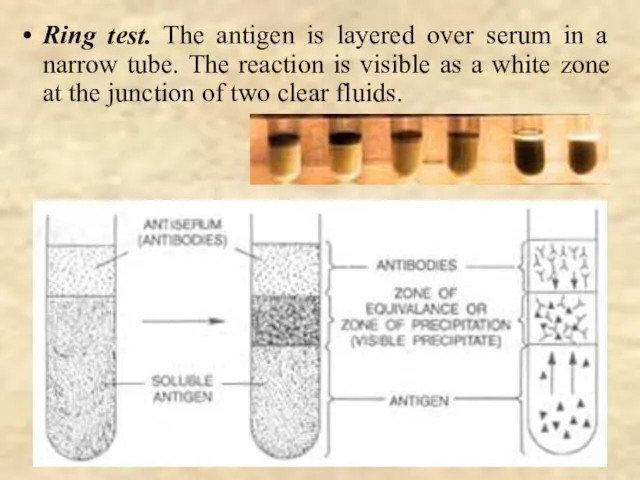 Ring test. The antigen is layered over serum in a narrow tube.