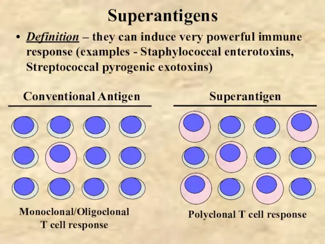 Superantigens Monoclonal/Oligoclonal T cell response Definition – they can induce very powerful