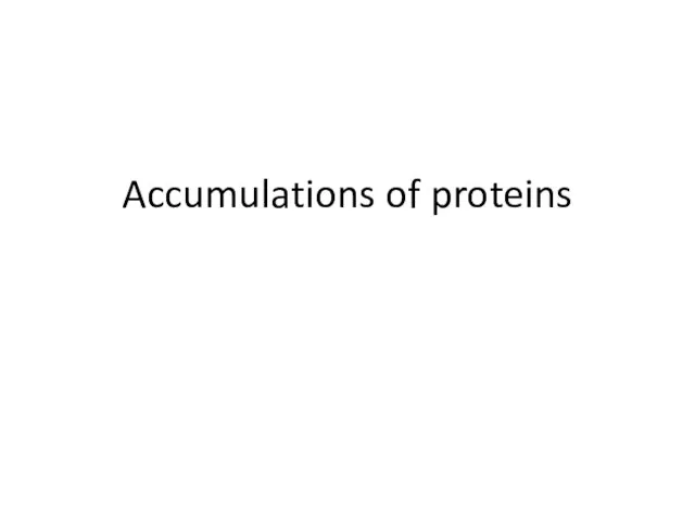 Accumulations of proteins