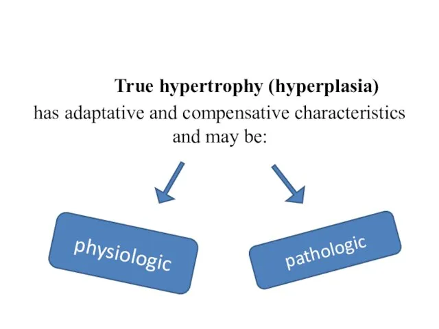 True hypertrophy (hyperplasia) has adaptative and compensative characteristics and may be: physiologic pathologic