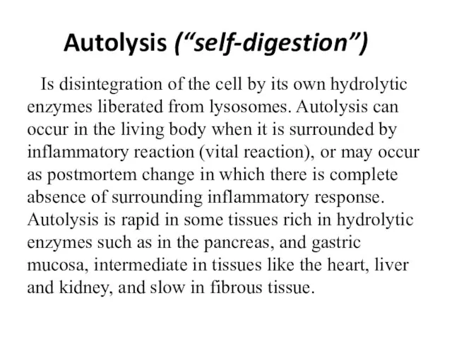 Autolysis (“self-digestion”) Is disintegration of the cell by its own hydrolytic enzymes