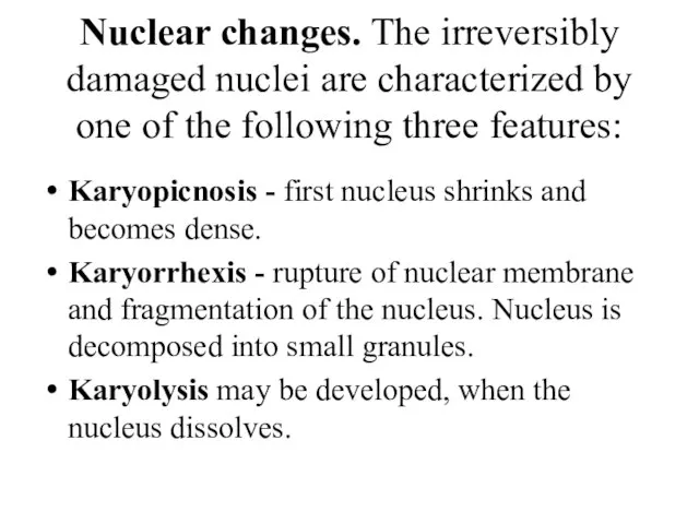 Nuclear changes. The irreversibly damaged nuclei are characterized by one of the