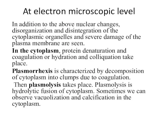 At electron microscopic level In addition to the above nuclear changes, disorganization