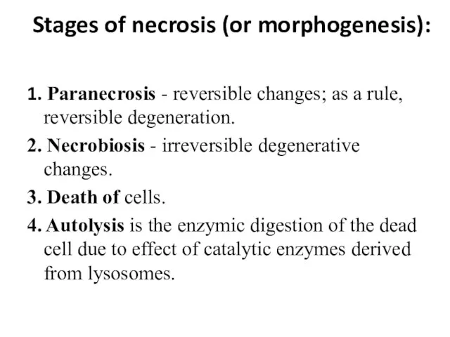 Stages of necrosis (or morphogenesis): 1. Paranecrosis - reversible changes; as a