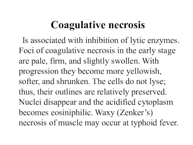 Coagulative necrosis Is associated with inhibition of lytic enzymes. Foci of coagulative