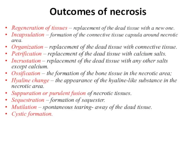 Outcomes of necrosis Regeneration of tissues – replacement of the dead tissue