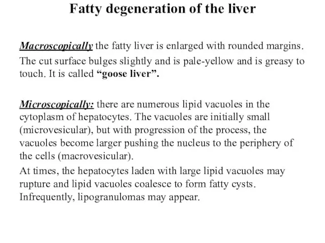 Fatty degeneration of the liver Macroscopically the fatty liver is enlarged with