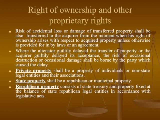 Right of ownership and other proprietary rights Risk of accidental loss or