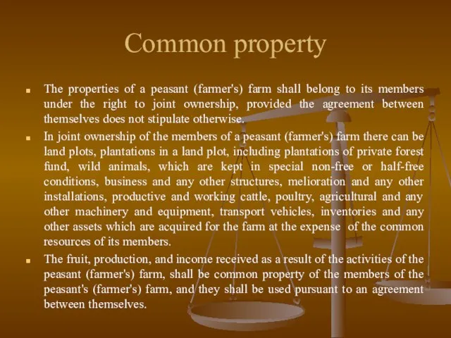 Common property The properties of a peasant (farmer's) farm shall belong to