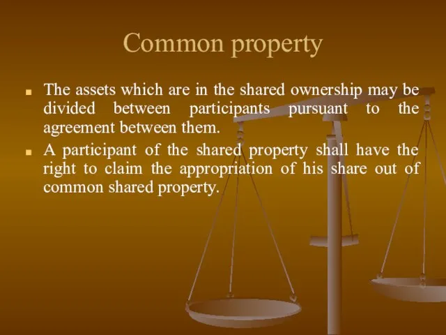 Common property The assets which are in the shared ownership may be