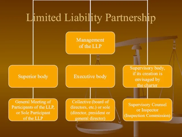 Limited Liability Partnership