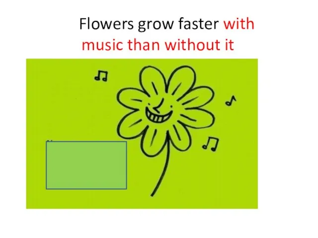 Flowers grow faster with music than without it