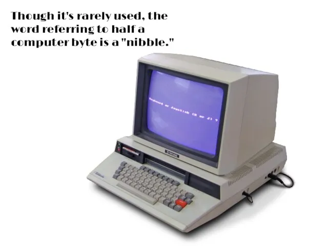 Though it's rarely used, the word referring to half a computer byte is a "nibble."