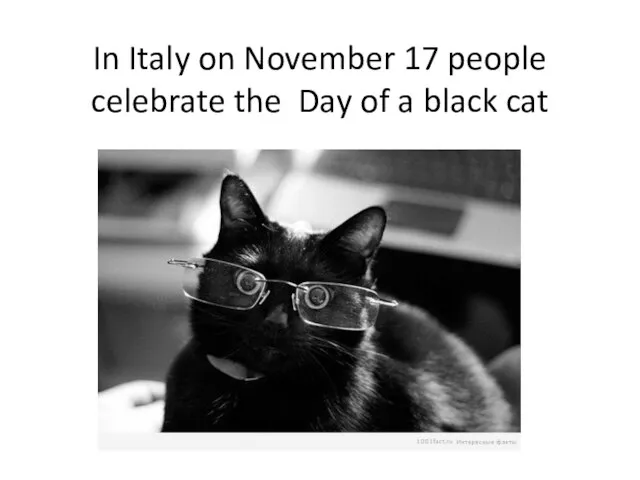 In Italy on November 17 people celebrate the Day of a black cat