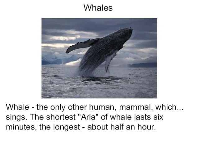 Whales Whale - the only other human, mammal, which... sings. The shortest