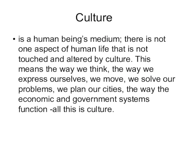 Culture is a human being’s medium; there is not one aspect of