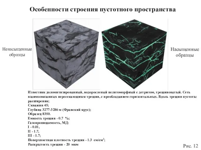 Особенности строения пустотного пространства Известняк доломитизированный, водорослевый пелитоморфный с детритом, трещиноватый. Сеть