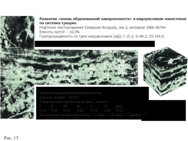 Рис. 15 Развитие «вновь образованной кавернозности» в водорослевом известняке по системе трещин.