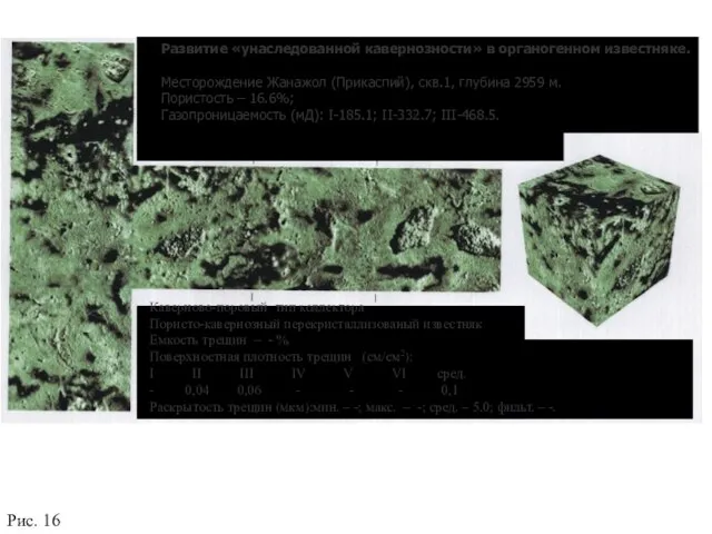 Рис. 16 Развитие «унаследованной кавернозности» в органогенном известняке. Месторождение Жанажол (Прикаспий), скв.1,