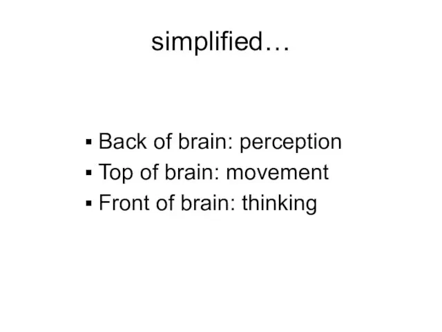 simplified… Back of brain: perception Top of brain: movement Front of brain: thinking