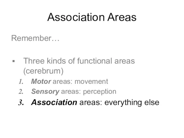 Association Areas Remember… Three kinds of functional areas (cerebrum) Motor areas: movement