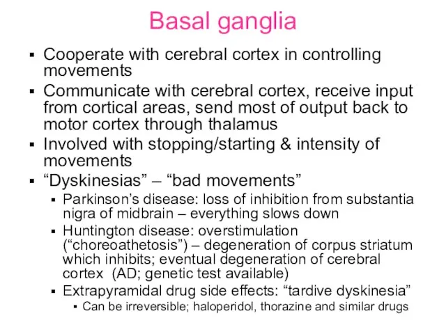 Basal ganglia Cooperate with cerebral cortex in controlling movements Communicate with cerebral