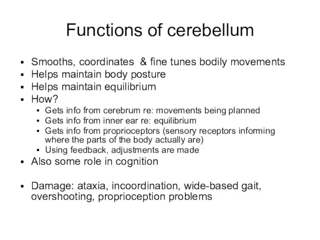 Functions of cerebellum Smooths, coordinates & fine tunes bodily movements Helps maintain