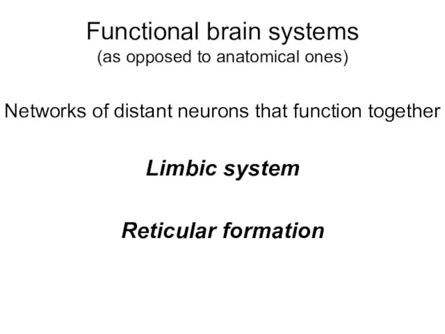 Functional brain systems (as opposed to anatomical ones) Networks of distant neurons