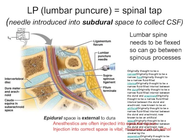 LP (lumbar puncure) = spinal tap (needle introduced into subdural space to