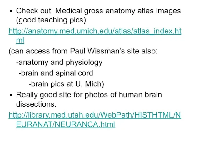 Check out: Medical gross anatomy atlas images (good teaching pics): http://anatomy.med.umich.edu/atlas/atlas_index.html (can