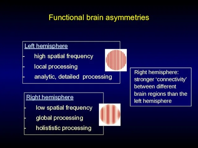 Functional brain asymmetries Left hemisphere high spatial frequency local processing analytic, detailed