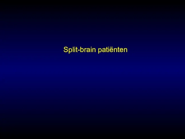 Split-brain patiënten