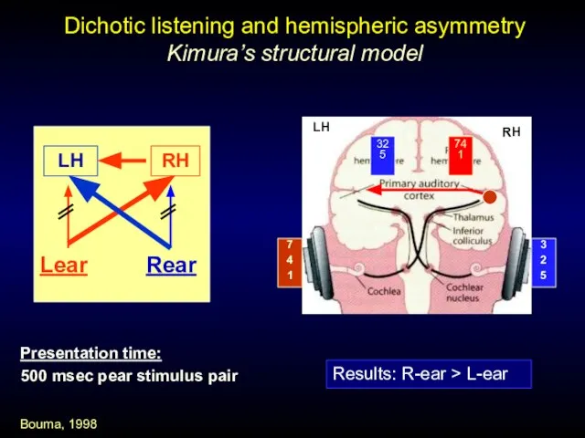 Lear Dichotic listening and hemispheric asymmetry Kimura’s structural model LH RH Results: