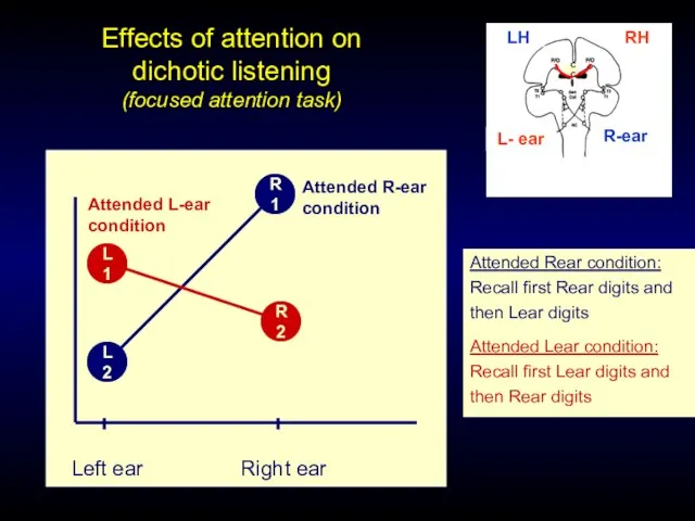 Effects of attention on dichotic listening (focused attention task) Left ear Right