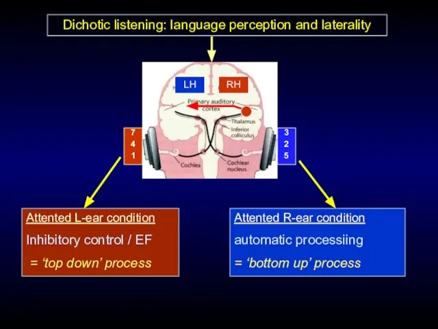 Dichotic listening: language perception and laterality Attented R-ear condition automatic processiing =