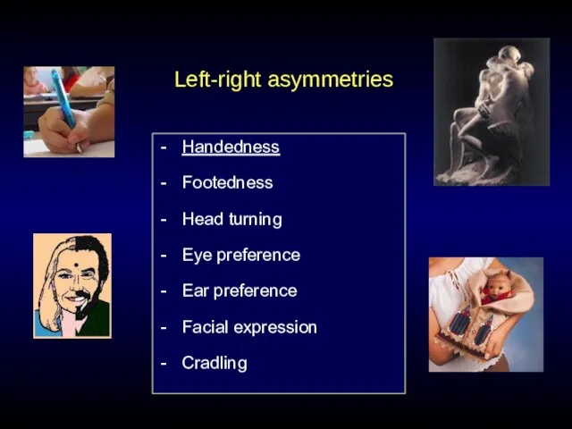 Left-right asymmetries Handedness Footedness Head turning Eye preference Ear preference Facial expression Cradling