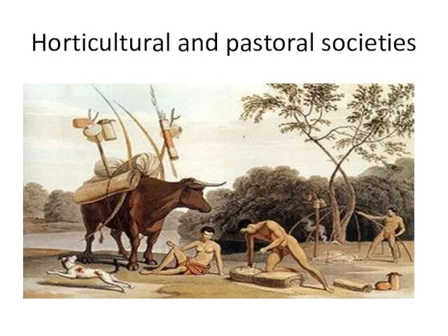 Horticultural and pastoral societies