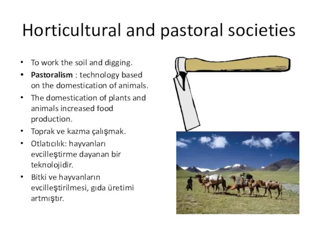 Horticultural and pastoral societies To work the soil and digging. Pastoralism :
