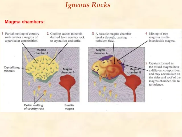 Igneous Rocks Magma chambers: