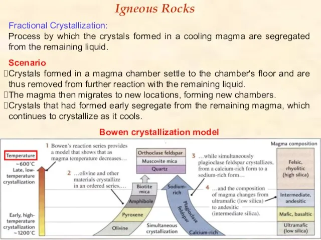 Fractional Crystallization: Process by which the crystals formed in a cooling magma