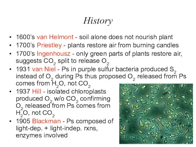 History 1600’s van Helmont - soil alone does not nourish plant 1700’s