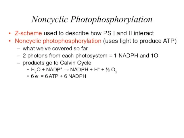 Noncyclic Photophosphorylation Z-scheme used to describe how PS I and II interact