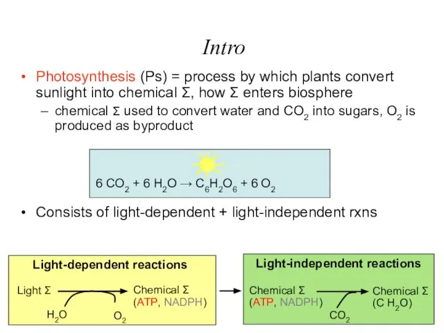 Intro Light Σ H2O O2 Light-dependent reactions Chemical Σ (ATP, NADPH) Chemical