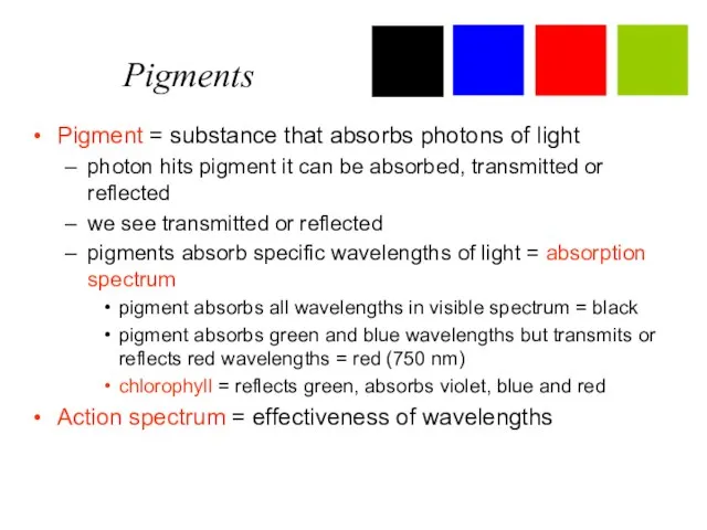 Pigments Pigment = substance that absorbs photons of light photon hits pigment
